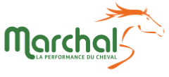 Logo de MARCHAL DRIVE