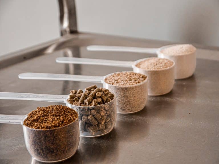 Lire la suite à propos de l’article Pourquoi le dosage des CMV Harmonie Nutrition Équine est-il plus important que celui d’autres marques ?