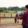 Biologiste qui réalise une consultation pour personnaliser un CMV sans fer destiné à un cheval