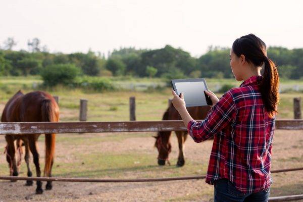 Biologiste qui réalise une consultation pour personnaliser un CMV sans fer destiné à un cheval