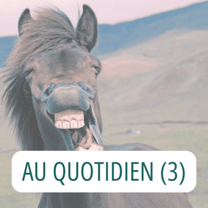 AU QUOTIDIEN