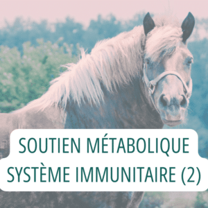 SOUTIEN MÉTABOLIQUE SYSTÈME IMMUNITAIRE