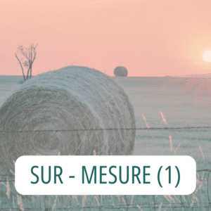 SUR-MESURE AVEC ANALYSE