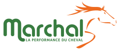 Logo de la boutique Marchal Drive à Lamorlaye.