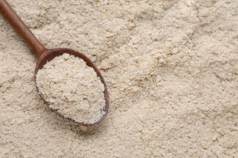 Lire la suite à propos de l’article L&rsquo;intérêt des prébiotiques et probiotiques dans l&rsquo;alimentation du cheval