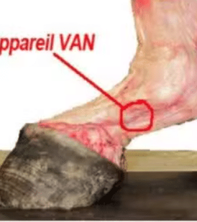 appareil van
