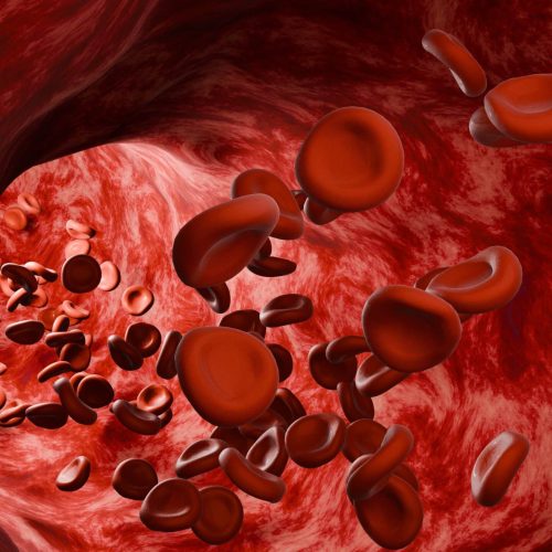 Red,Blood,Cells,Moving,Through,Human,Artery,,Medical,Concept
